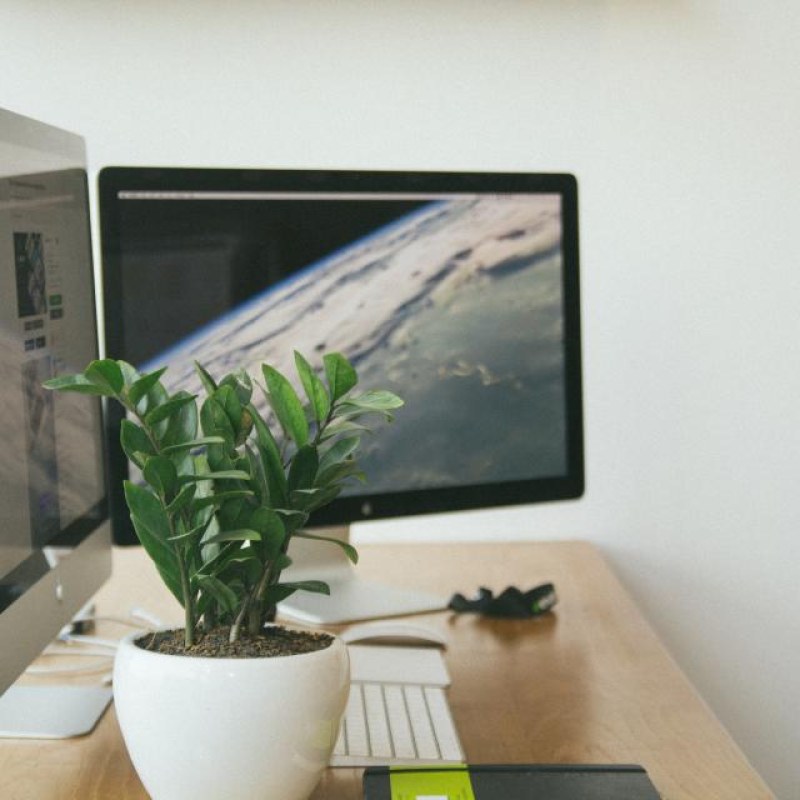 24" Full HD IPS Monitor 75Hz