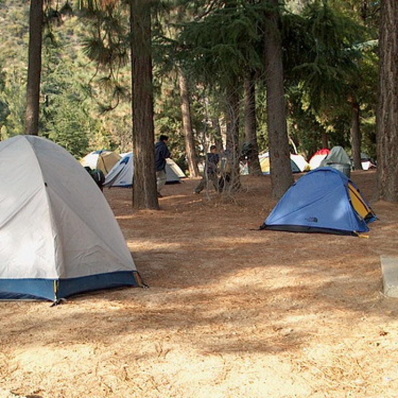 4 Person Camping Tent